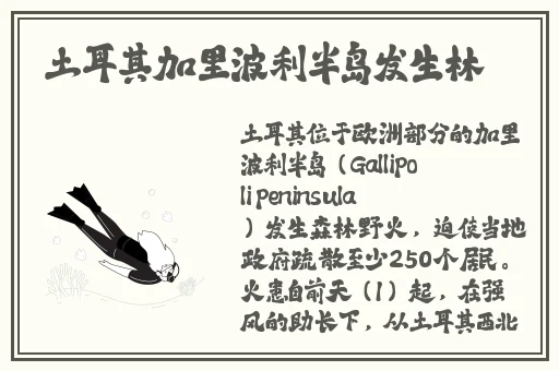 中国XXXXXL19